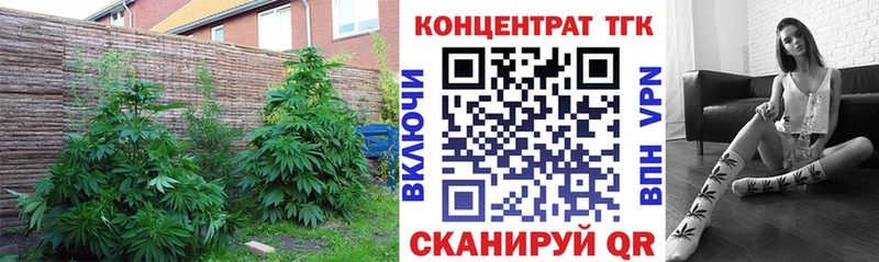 закладка  Кольчугино  ТГК жижа 
