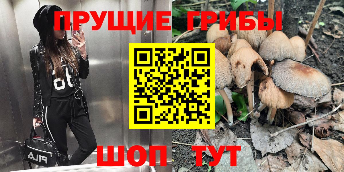 Галлюциногенные грибы Psilocybine cubensis  Вход с VPN  Кольчугино  Галлюциногенные грибы Psilocybe 