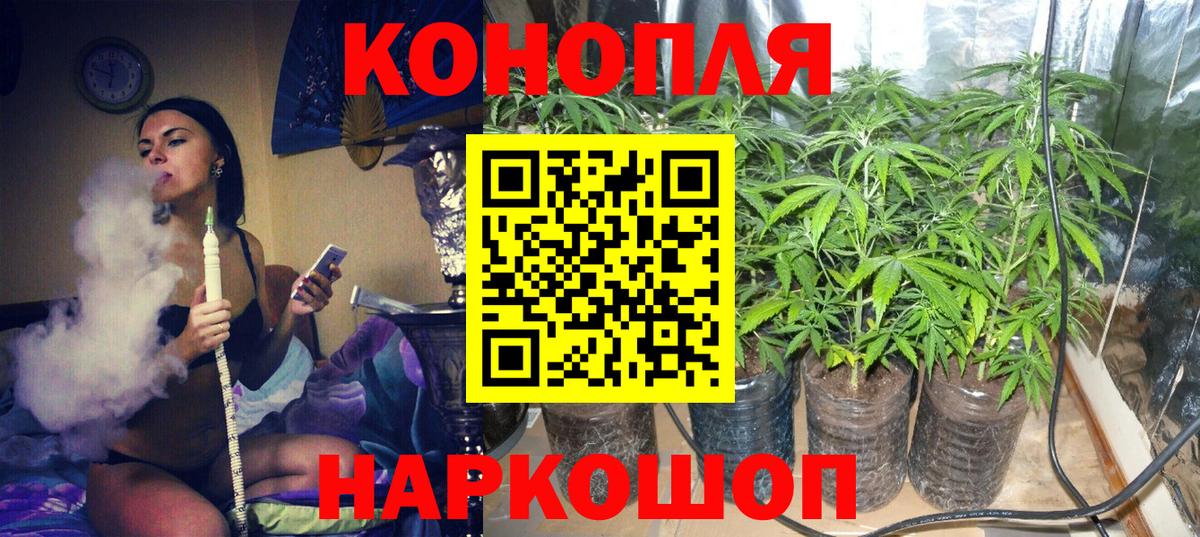 Канабис марихуана  Вход с VPN  Конопля Bruce Banner  Кольчугино  Бошки Шишки конопля 